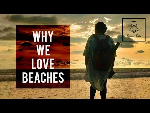 Beaches or Mountains | Why do we love Beaches | Foxes and Fairies