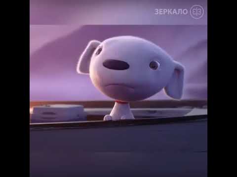 Joy And Heron Short Animated Animal movie