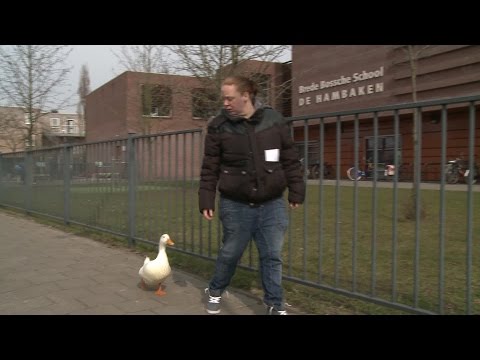 , title : 'Eend Fredje trekt behoorlijk wat bekijks in Den Bosch'