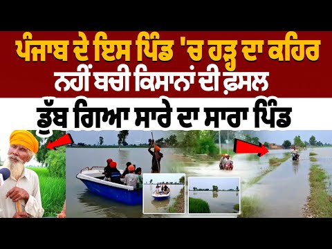 Firozpur Flood: Flood Wreaks Havo of Punjab's village, Crops not safe, Entire village submerged