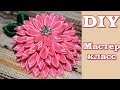 Мастер Класс Канзаши "Георгин" / DIY kanzashi flowers 