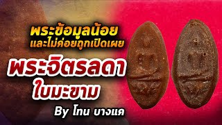 พระจิตรลดา ใบมะขาม l หยิบกล้องส่องพระ กับโทนบางแค 29/10/63 พระจิตรลดา ใบมะขาม l หยิบกล้องส่องพระ กับโทนบางแค 29/10/63