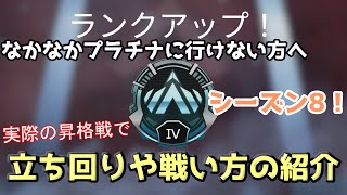 プラチナに行くためのコツや戦い方を紹介!!【プラチナ昇格戦】【Apexシーズン８】