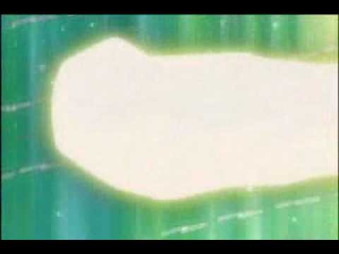 akidra transformation