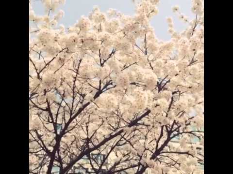 140401 Hyunsik Instagram