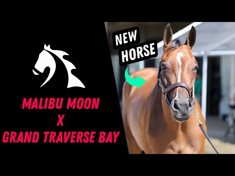 Get to Know Malibu Moon x Grand Traverse Bay
