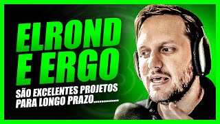 ELROND (EGLD) CRIPTOMOEDA BEM FUNDAMENTADA VAI SUBIR? VALE A PENA? - AUGUSTO BACKES