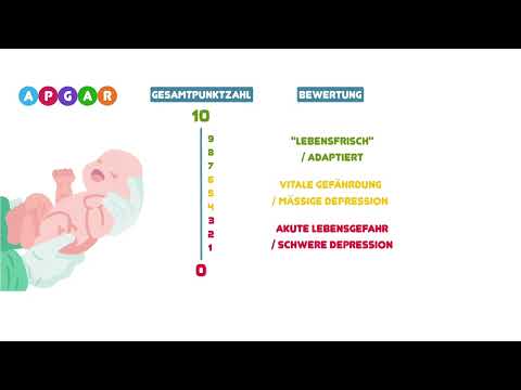 Der Apgar-Score