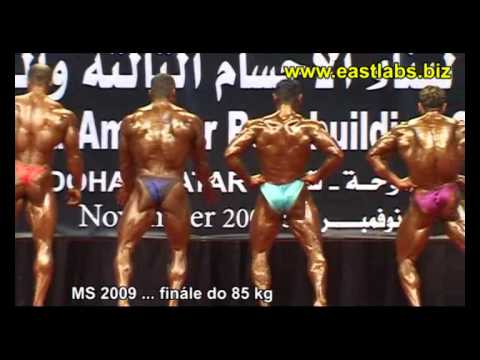 v2492-ifbb-ms2009-doha-do85kg-1