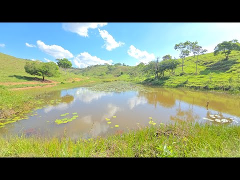 FAZENDA LUXO 342 HECTARES A VENDA EM MINAS GERAIS 90 MIL REAIS POR ALQUEIRE 