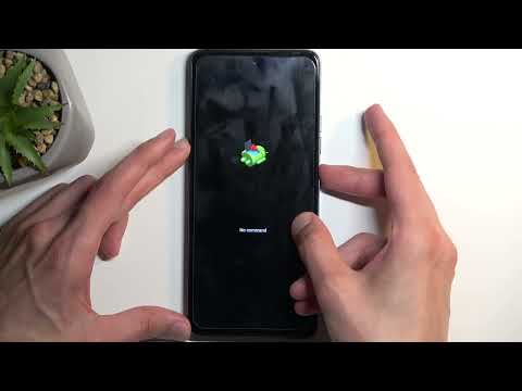 How to Enter Fastboot Mode on Tecno Spark 10 Pro?