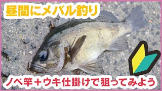 あたたかい昼間にサクっとメバル釣り