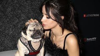 Camila Cabello  With Dogs