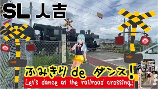 踏切動画 【踏切ダンス】SL人吉が来たよのダンス《縦動画＃18 》A steam locomotive has arrived at the railroad crossing!