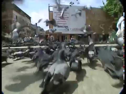 Yunuscan - Acı Gündür