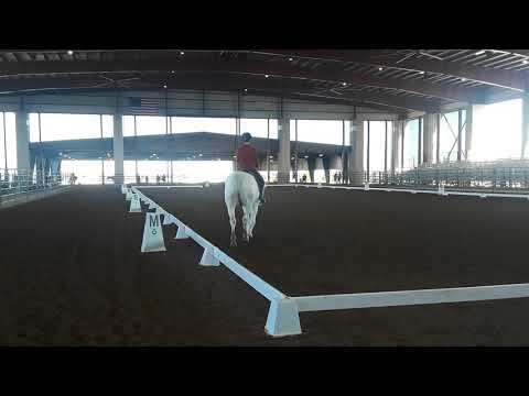 Dianne and Ollie First Level Test 2