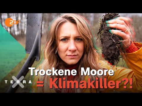 Wie Moore unser Klima beeinflussen