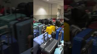 Pearson airport #delay #flights #yyz