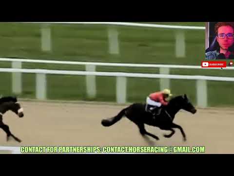 Brunello Breeze wins at Newcastle Jan, 08 2024 Horse Racing RESULTS Bet