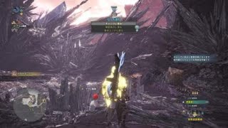 モンスターハンター：ワールド　ネギ王ソロ47分