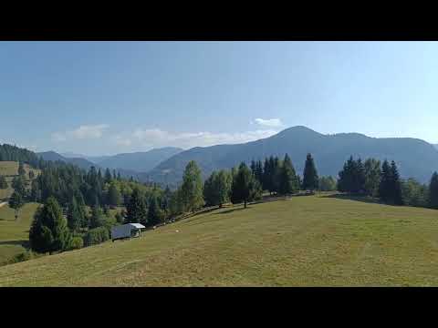 Cabana Oratia  Podul Dâmboviței. 21.09.2024