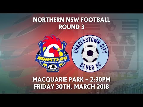 2018 NNSWF NPL Round 3 - Lake Macquarie FC v Charlestown City Blues