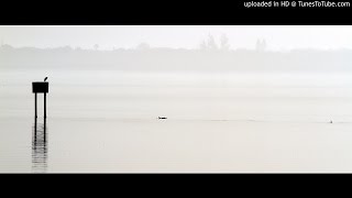 DreadZone - Ska Con Queso