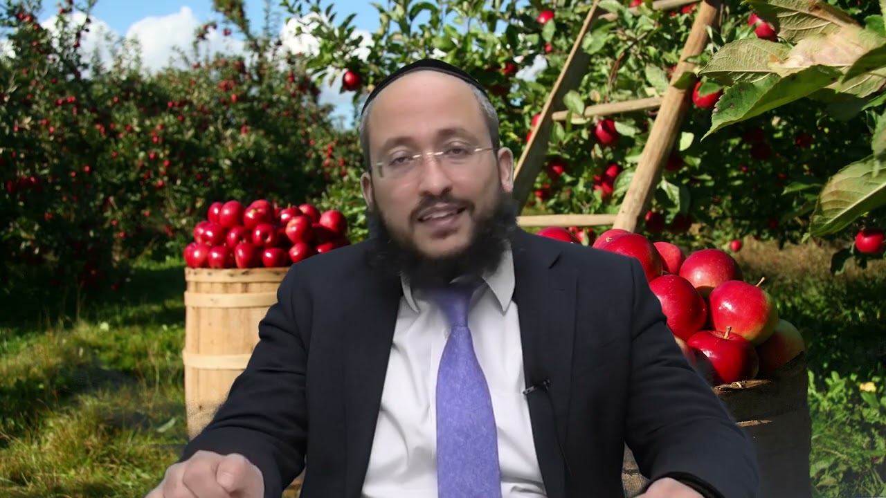 מה הם פירות הפקר?!, האם הם חייבים בתרו"מ? | הרב אברהם חדאד