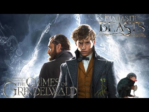 Fantastic Beasts 1&2 RECAP | Full Series Explained
