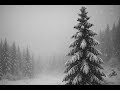 Agalloch - The Misshapen Steed