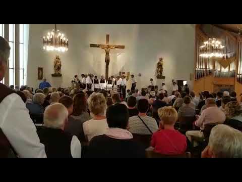 Bluämustruissli JK Echo vam Bietschhorn