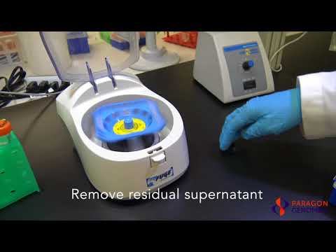 Chapter 4 - CleanPlex Targeted Library Preparation - Bead Purification