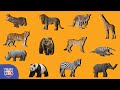 Animal Shadow Matching Game Wild Safari Puzzle For Kids