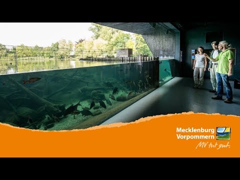 Mecklenburg-Vorpommern – Natur entdecken und verstehen