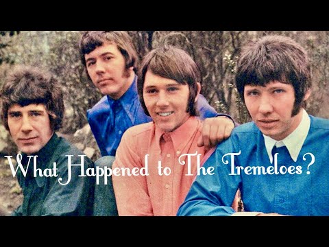What Happened to The Tremeloes?