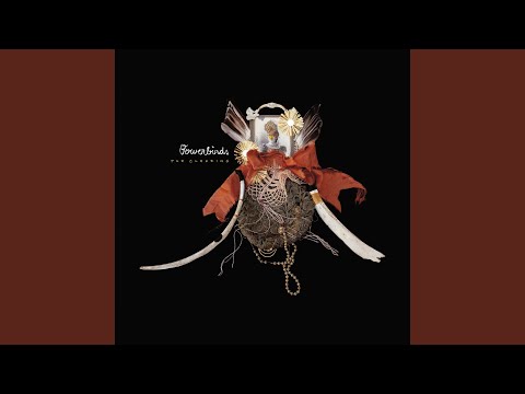 In the Yard - Bowerbirds