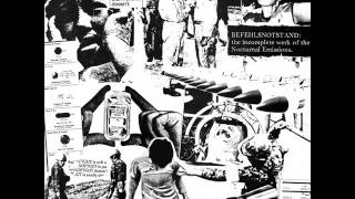 Nocturnal Emissions - Rabbits Don't Cry