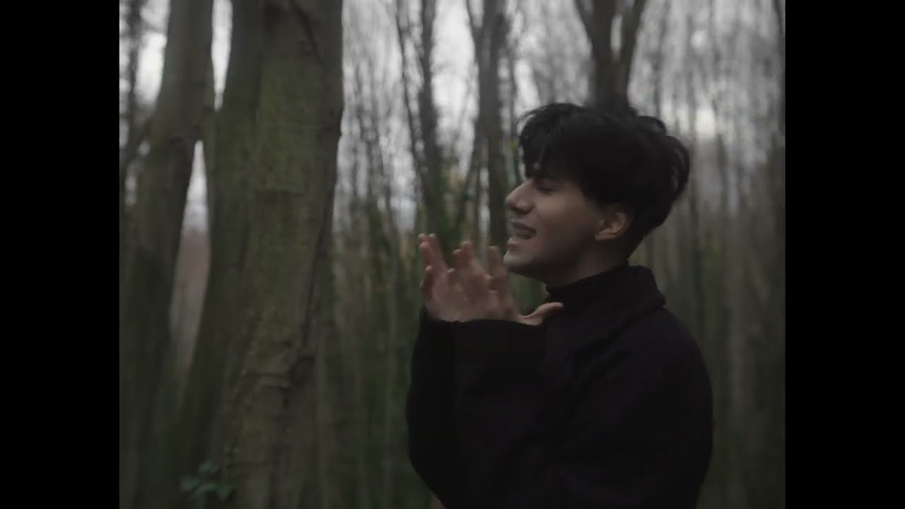 Rauf & Faik — Animal (Mood Video)