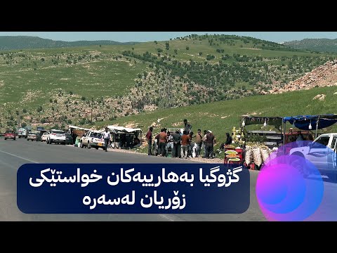 بەڤیدیۆ.. Mallî Kurdo - Çîrokî Berze | چیرۆكی به‌رزه‌