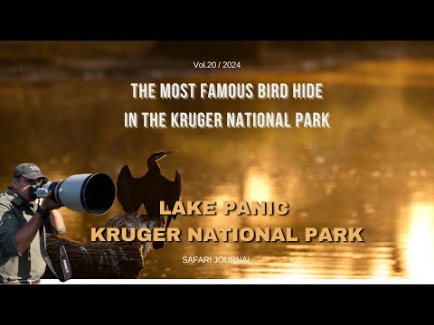 Lake Panic | The best bird hide in the Kruger National Park? | South Africa