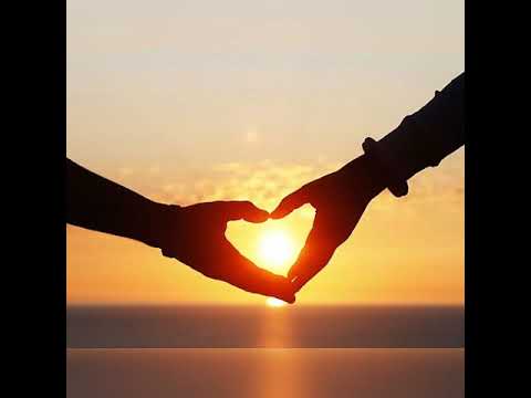 Si tình - Lê Quang Ngọc