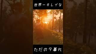 ゴーストオブツシマの人類にはエモすぎる遊び方 #shorts  #ghostoftsushima