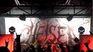 Chelsea Grin - The Foolish One - Live HD 3-14-13