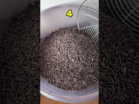 How Many Black Ornaments Can’t Pass?