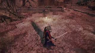 初見独り言プレイ。侍（samurai ）が行く。ERDEN RING（エルデンリング） part 14