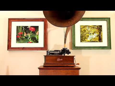 A rural story, "Uncle Josh Takes The Census" by Cal Stewart on Edison Blue Amberol cylinder 4277