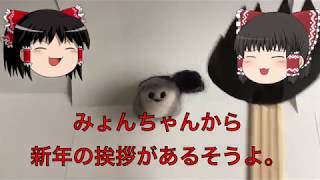 【ゆっくり茶番】おやすみ、みょんちゃん