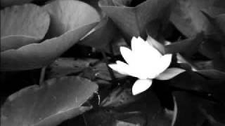 Andrés Calamaro - Algo contigo