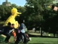 My School Project On The History Of Sesame Street Early 2009