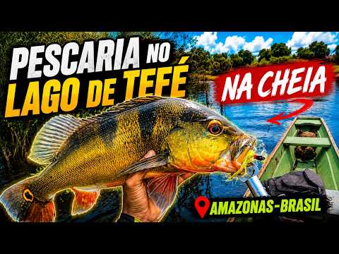 Pescaria no lago de Tefé cheio, Amazonas Brasil. Pegamos muitos peixes.